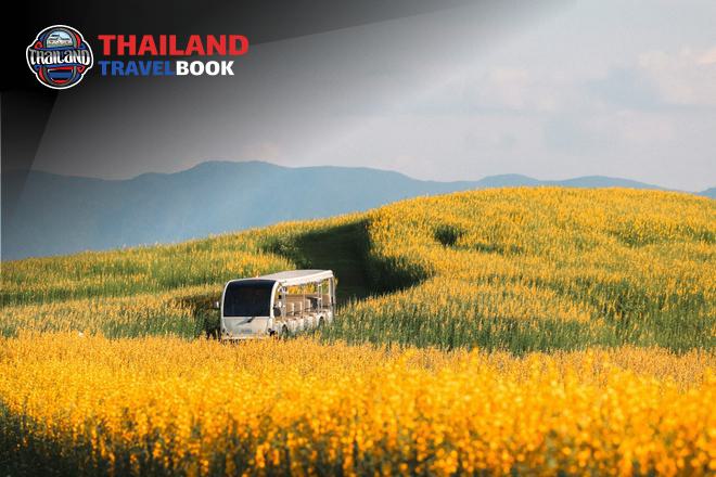 Tổng quan du lịch Chiang Rai: Điểm đến không thể bỏ qua cho những ai yêu thích vẻ đẹp tự nhiên và văn hóa độc đáo