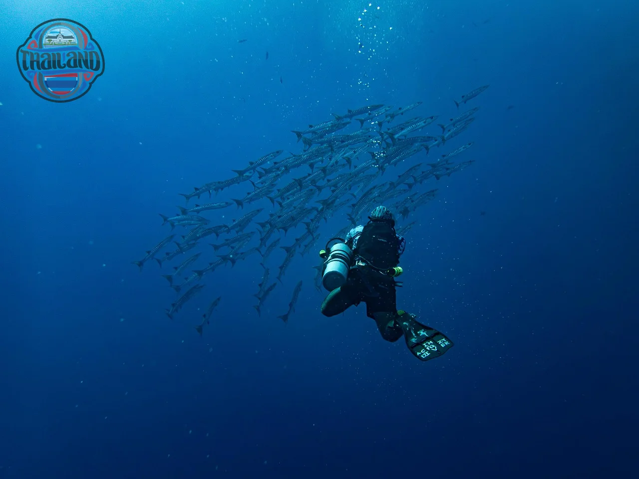 Bãi biển Koh Phi Phi Thái Lan với nước biển xanh ngọc và bãi cát trắng mịn